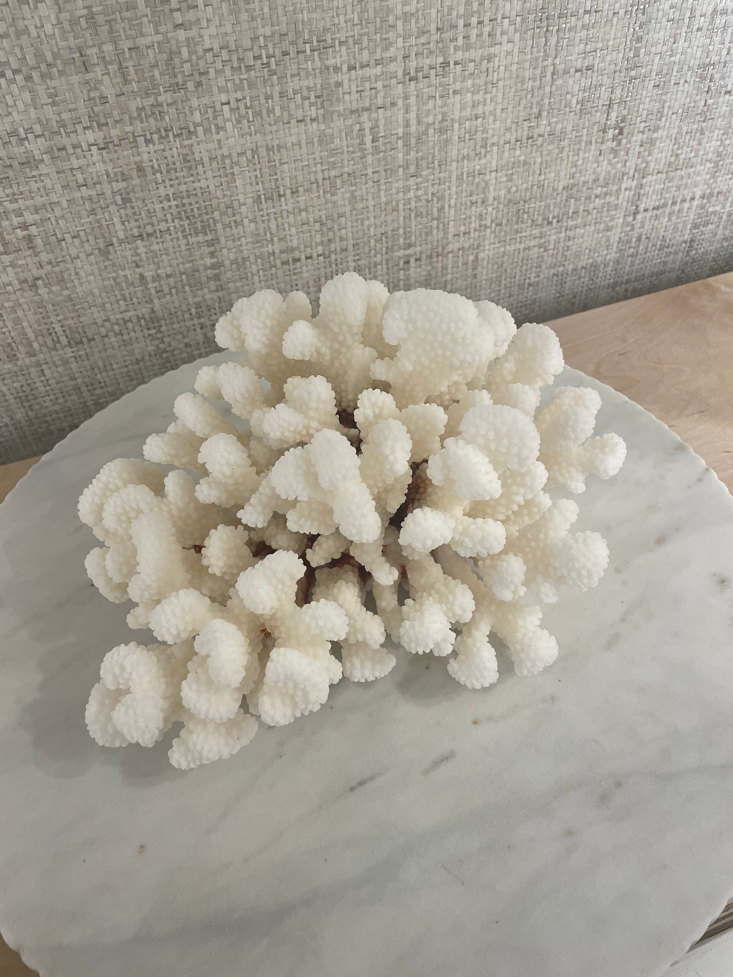 Cluster Coral