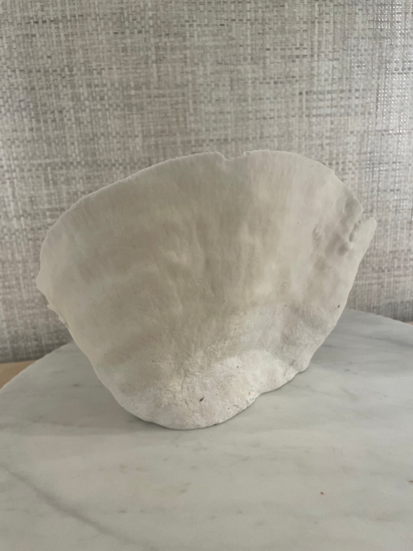 Cup Coral