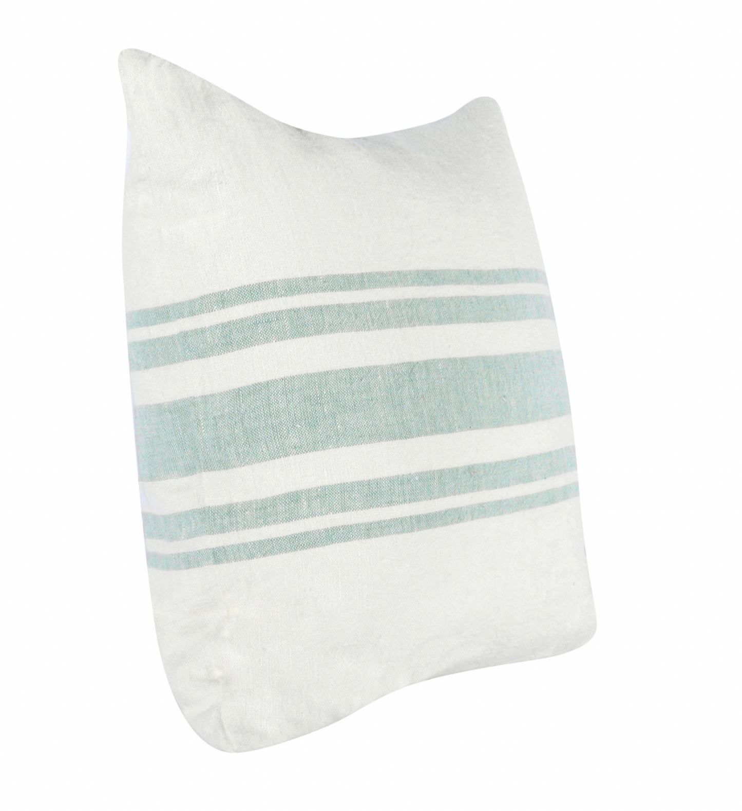 Eucalyptus Pillow 22x22