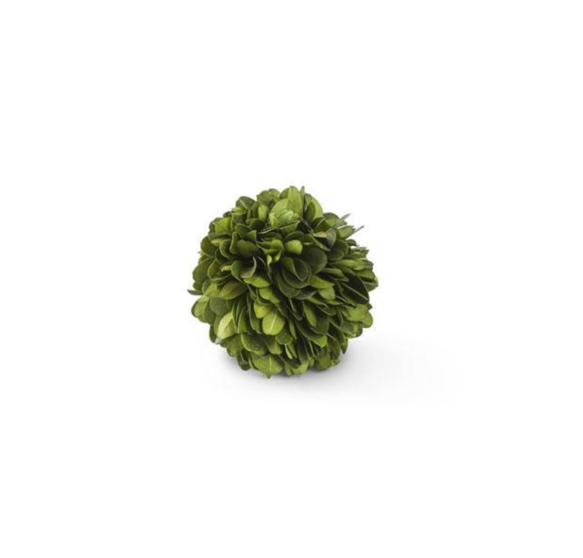 Mini Boxwood Ball