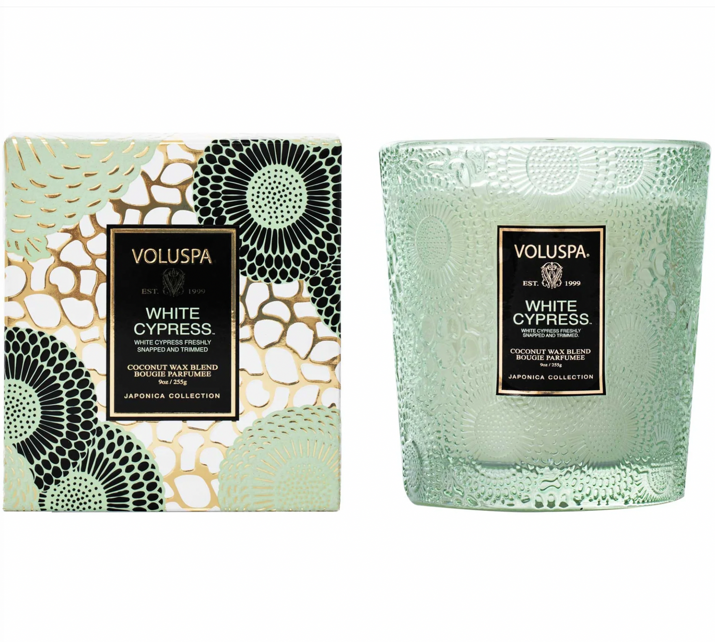White Cypress 9 oz Candle