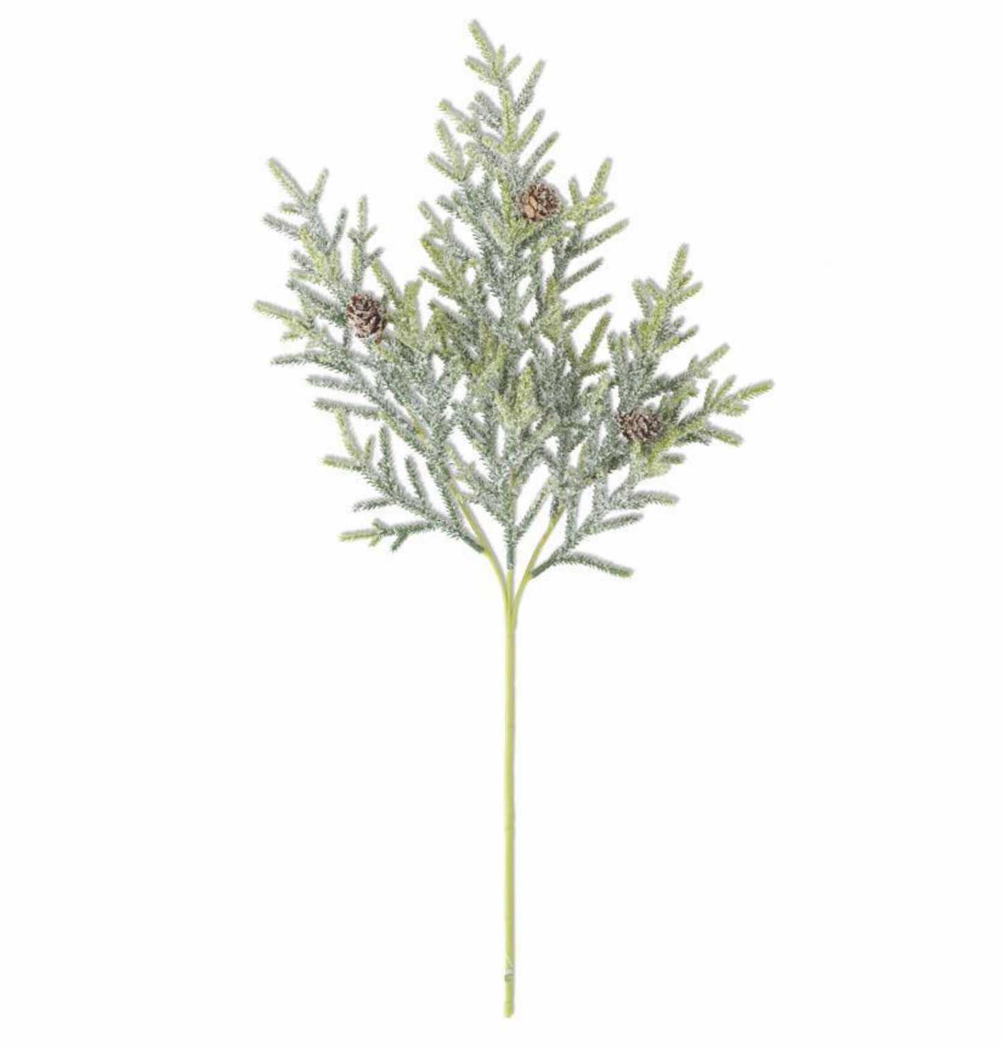 25" Juniper Stem