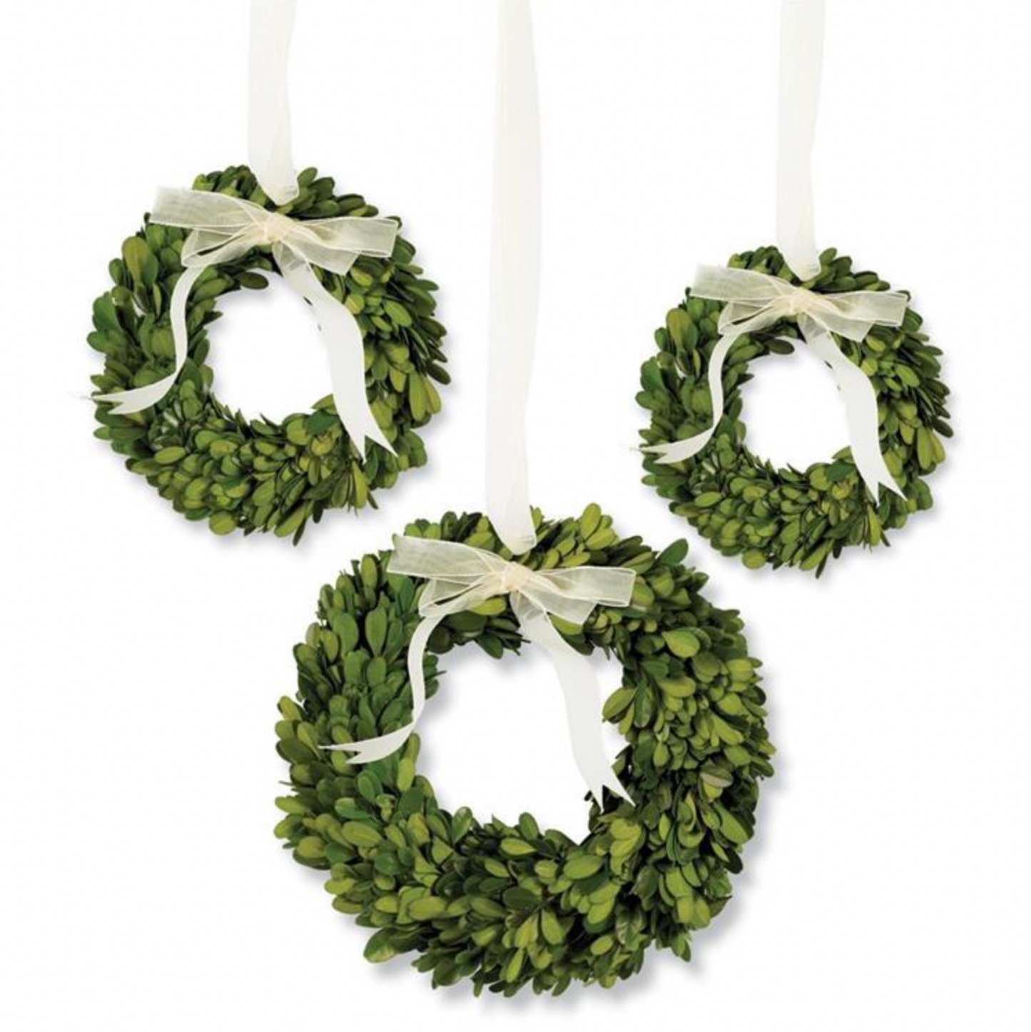 Medium Boxwood Wreath