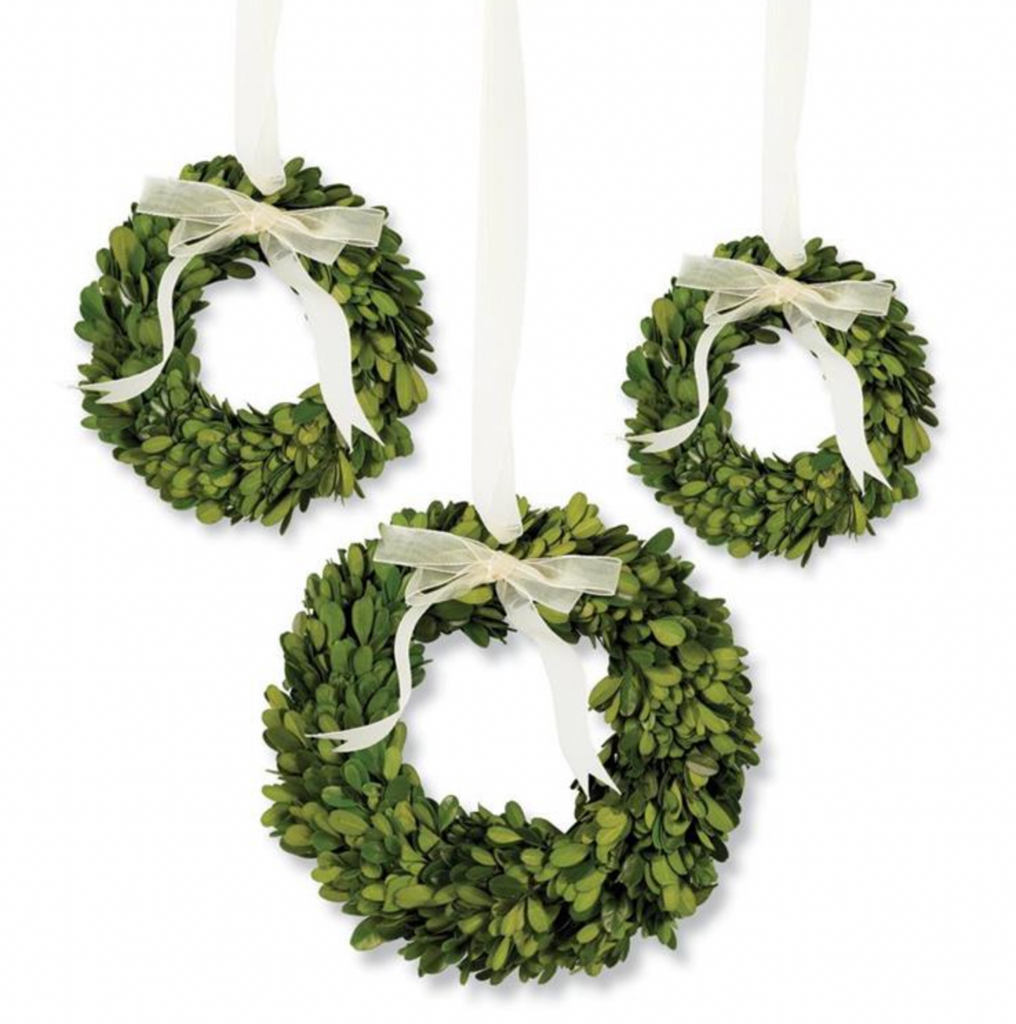 Large Boxwood Wreath
