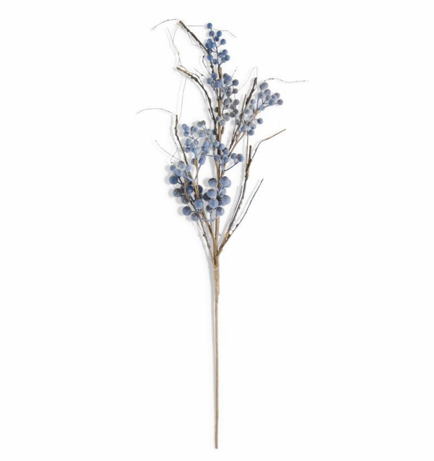 32" Concord Grape Branch