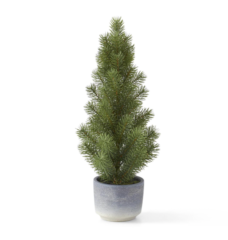 Medium Potted Pine Tree