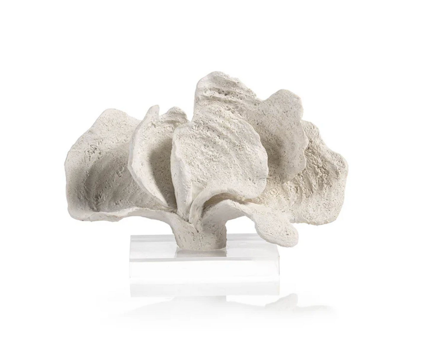 White Coron Coral on Acrylic Base