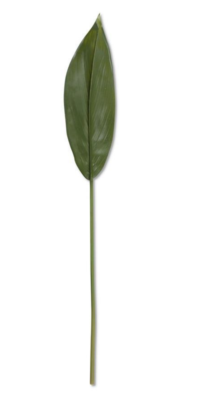 21 INCH FIG LEAF STEM