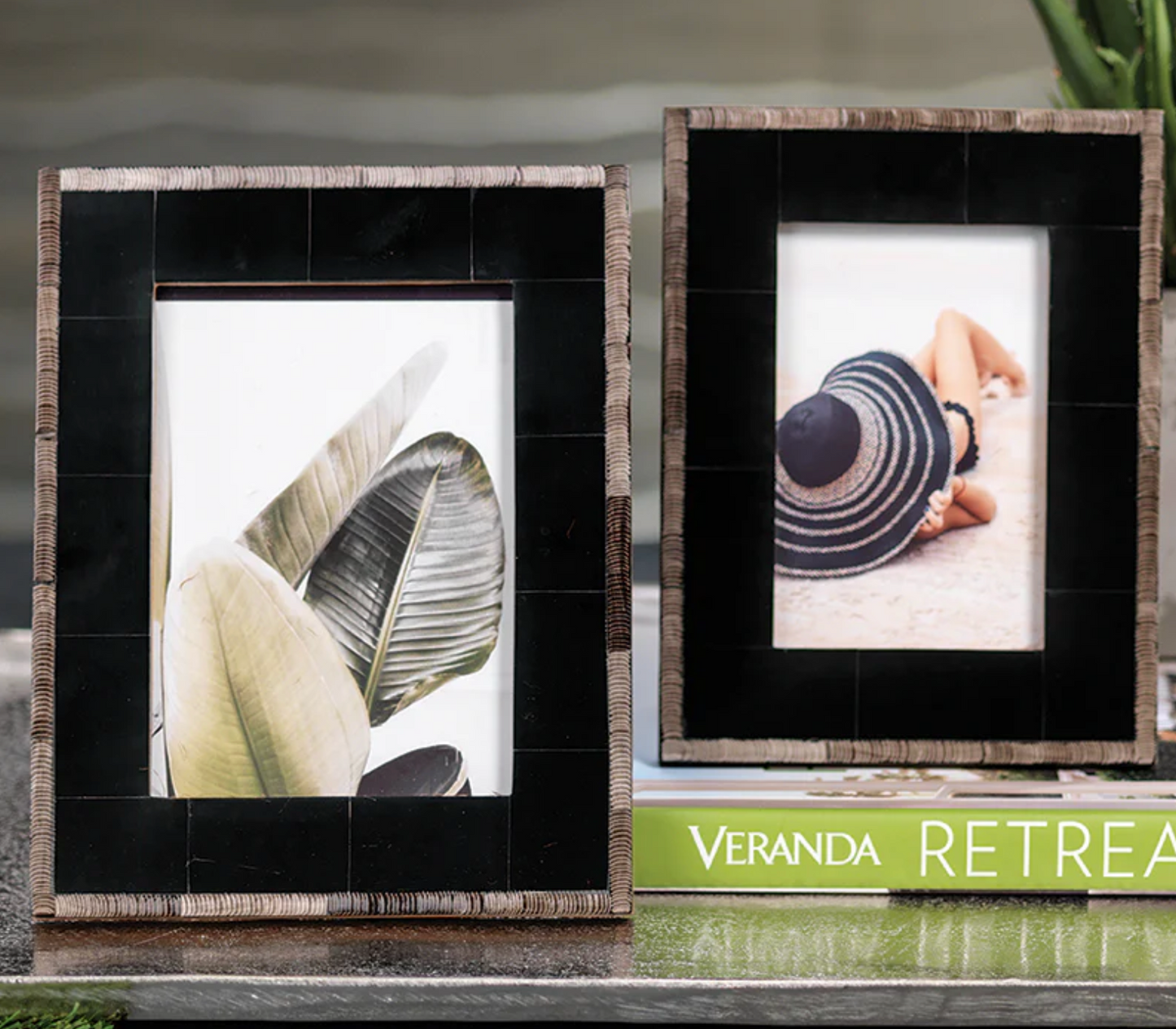 Black Horn 4x6 Picture Frame