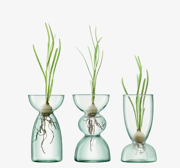 Canopy Trio Vase Set Small
