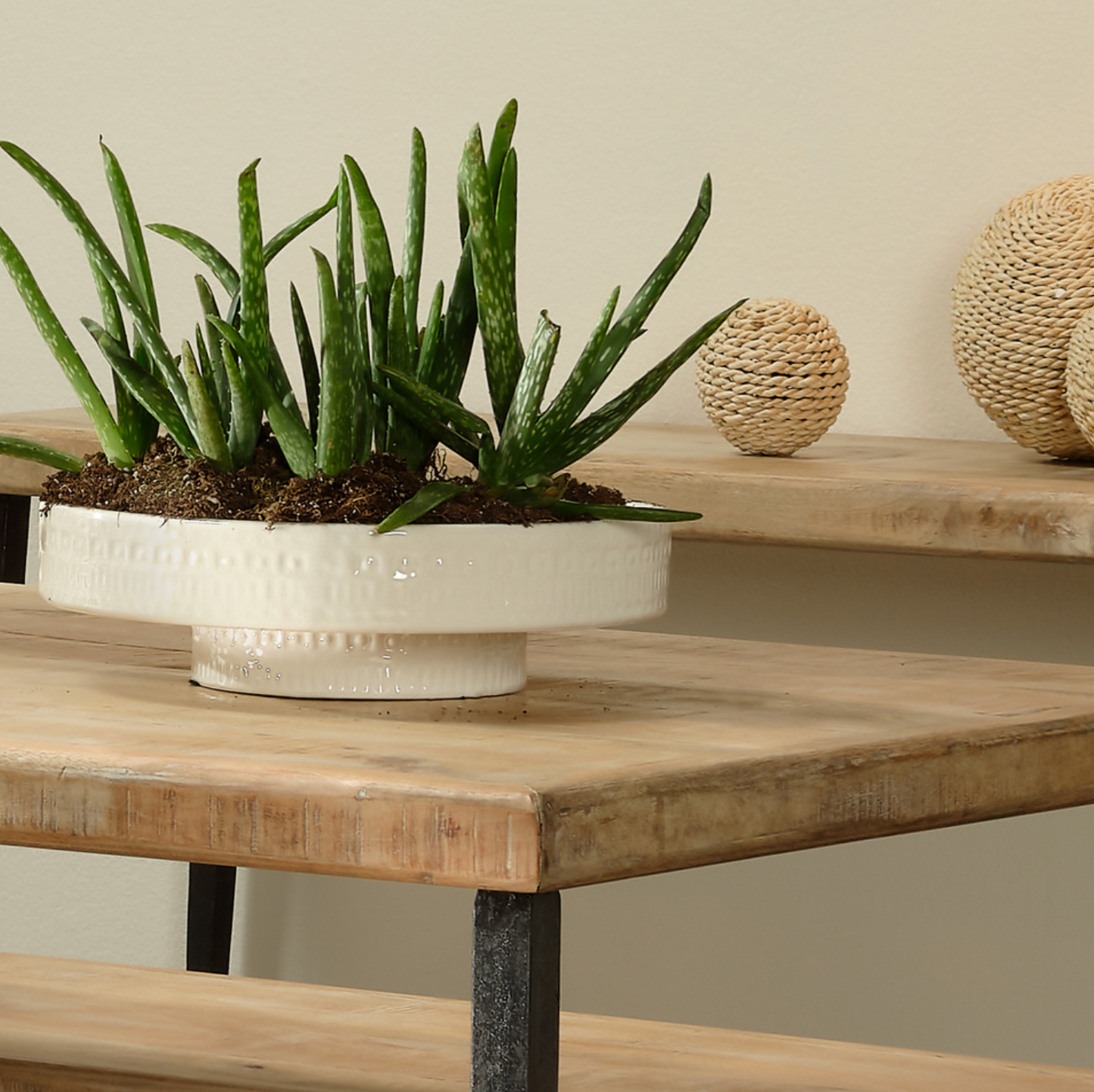 Coco Pedestal