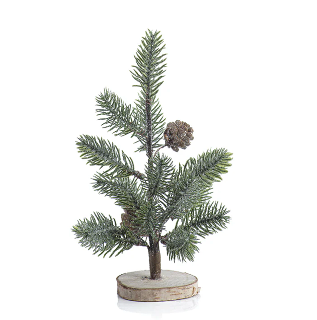 Small Aspen Pine Tree