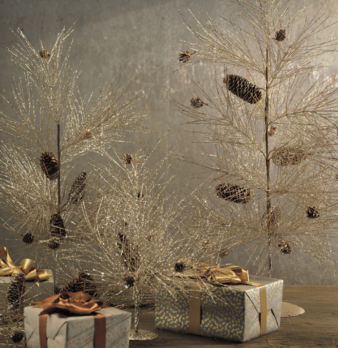 Small Pinecone Spruce Tree