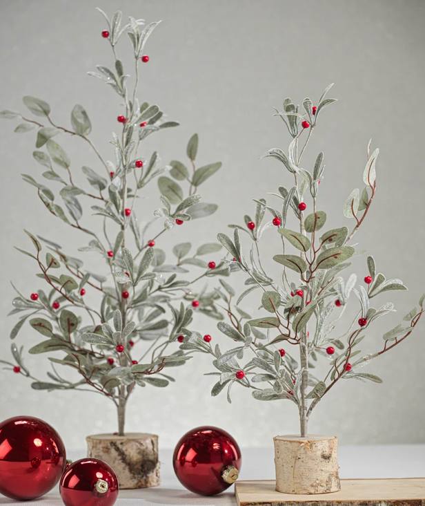 Tall Eucalyptus Tree