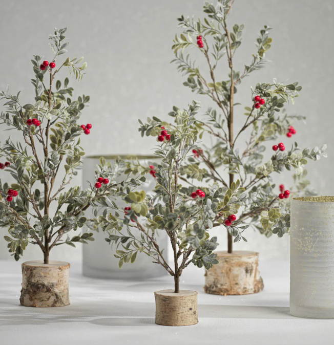 Small Mistletoe Tree