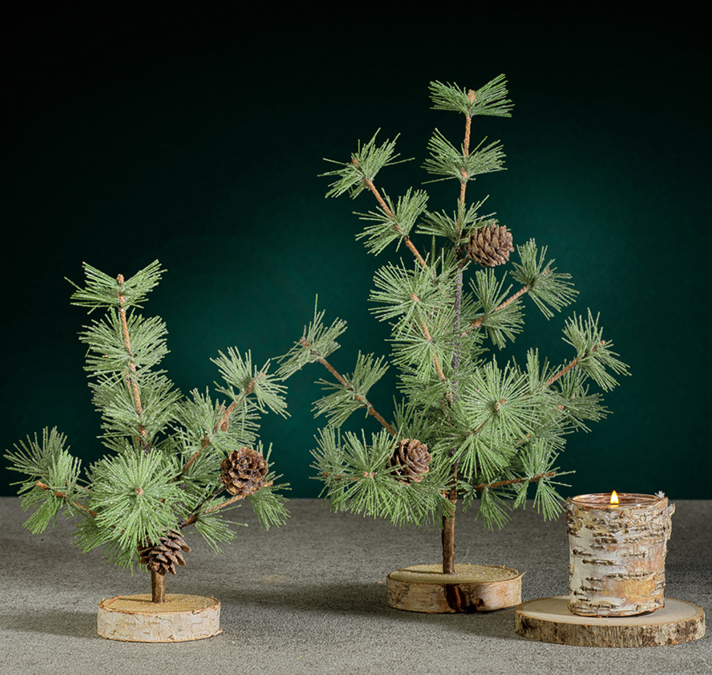 Small Pine Needle Tree