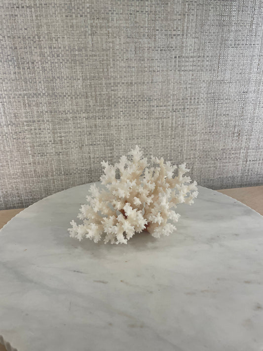 Lace Coral