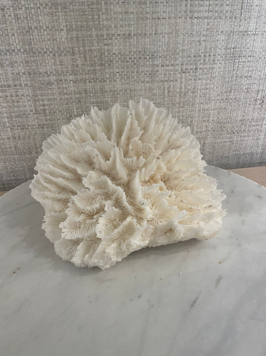 Lettuce Coral