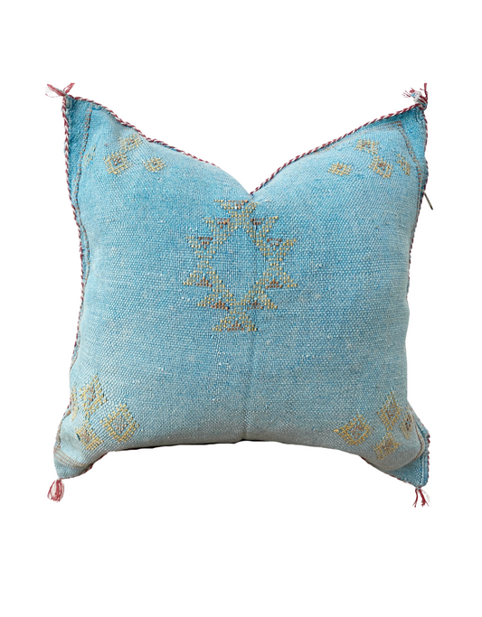 Silk Sabra Turquoise Pillow 20x20