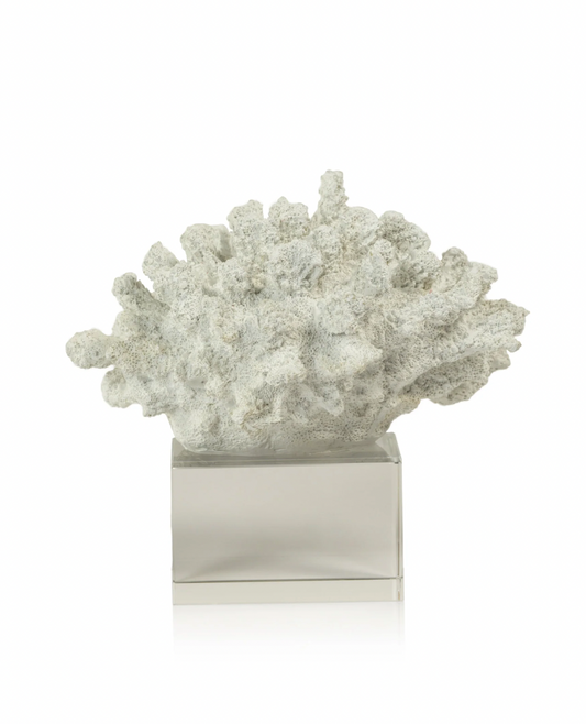 Coral on Acrylic Base