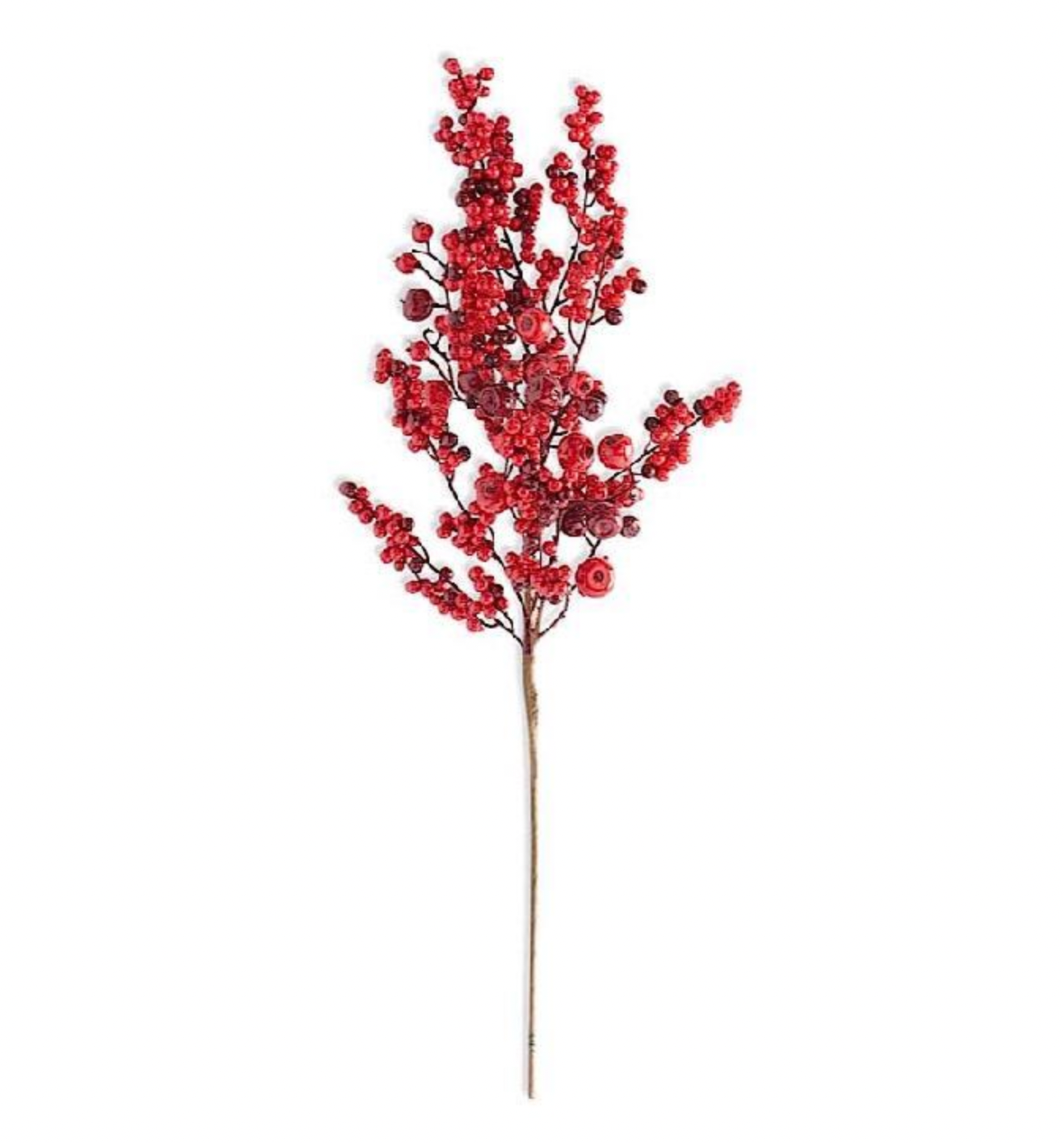 25" Red Berry Stem