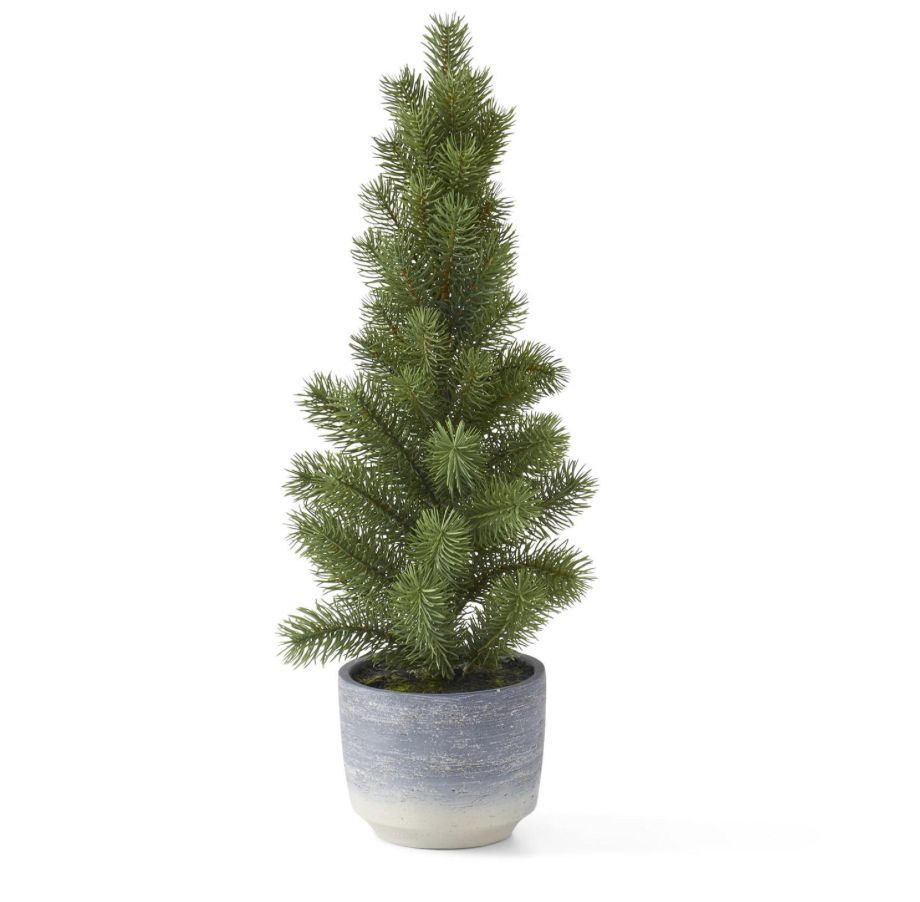 Large Potted Pine Tree