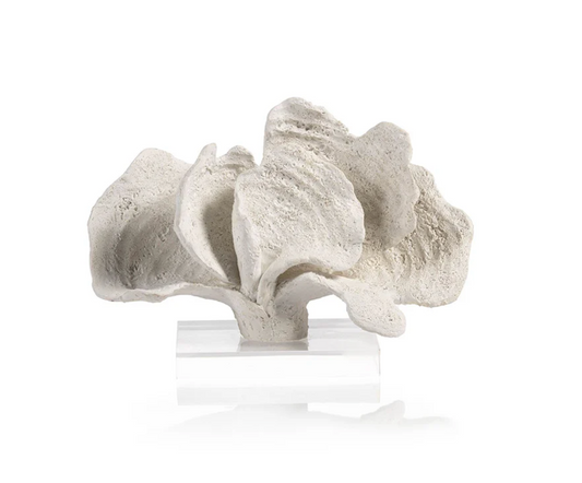 White Coron Coral on Acrylic Base
