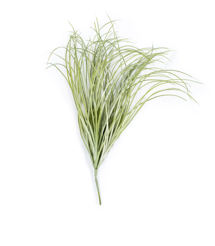 Sea Grass Bush