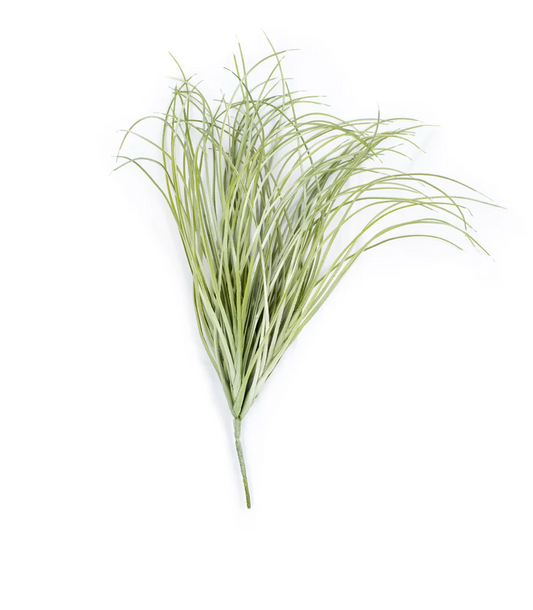 Sea Grass Bush