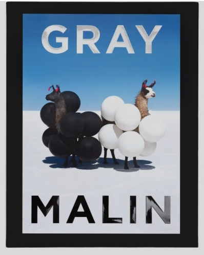 Gray Malin; The Essential Collection