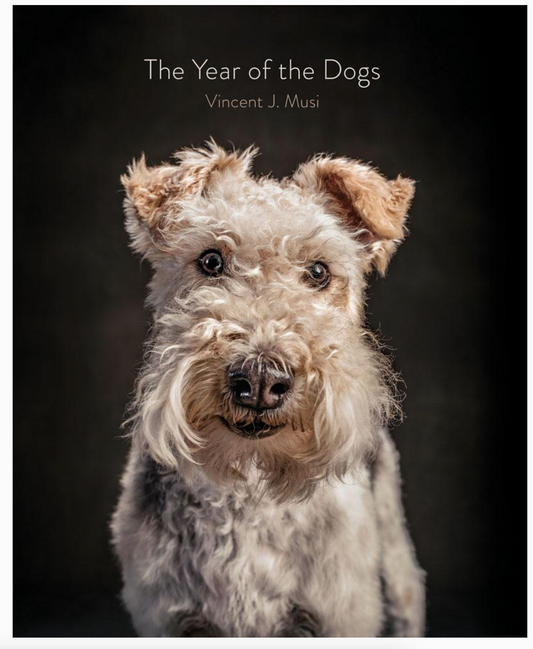Year of the Dogs