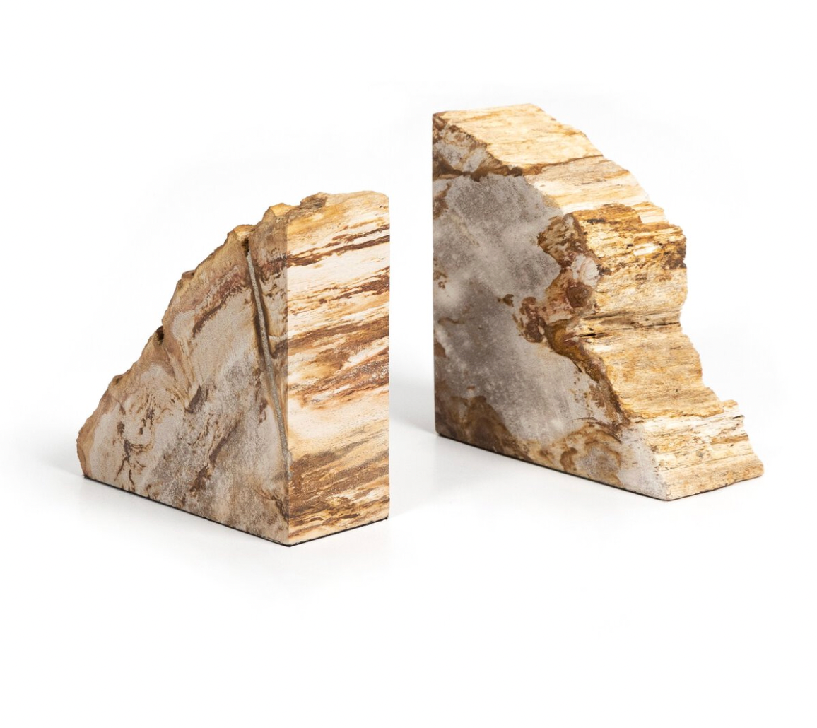 Petrified Wood Book Ends
