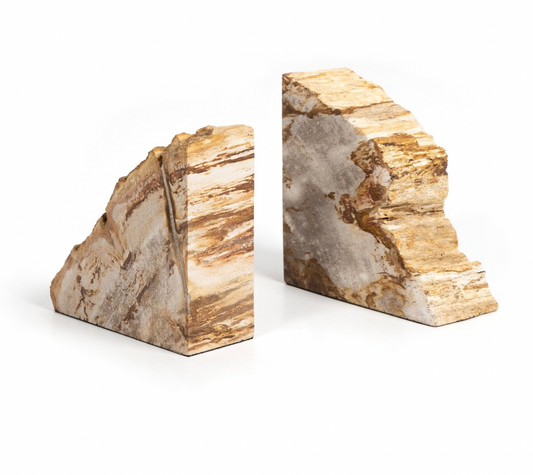 Petrified Wood Book Ends