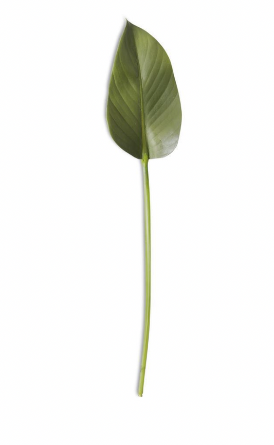 22 Inch Rubber Fig Leaf Stem