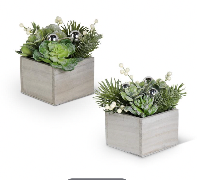 ASSORTED GLITTERED SUCCULENTS IN WOOD BOXES (2 STYLES)