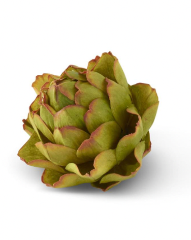 4 INCH GREEN ARTICHOKE