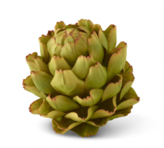 8 Inch Green Artichoke