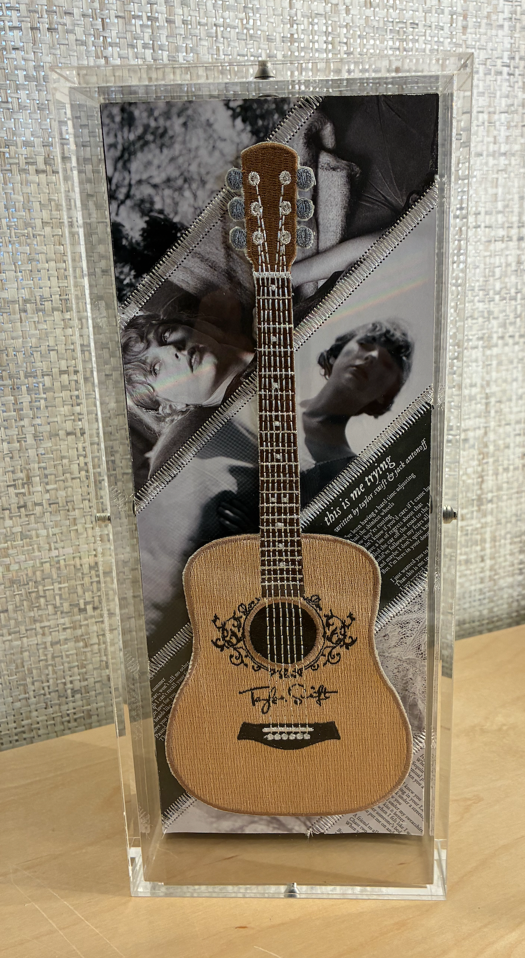 Stephen Wilson, Taylor Swift 10" X 5"