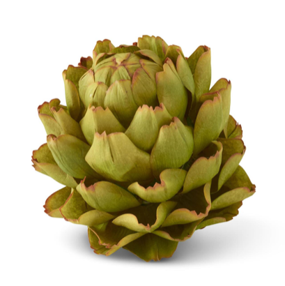 Artichoke, 8 inch