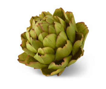 Artichoke, 6 inch