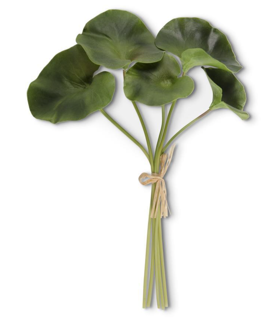 15 INCH REAL TOUCH LOTUS LEAF BUNDLE (5 STEMS)