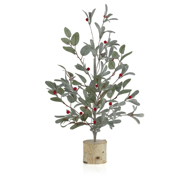 Short Eucalyptus Tree