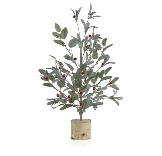 Short Eucalyptus Tree