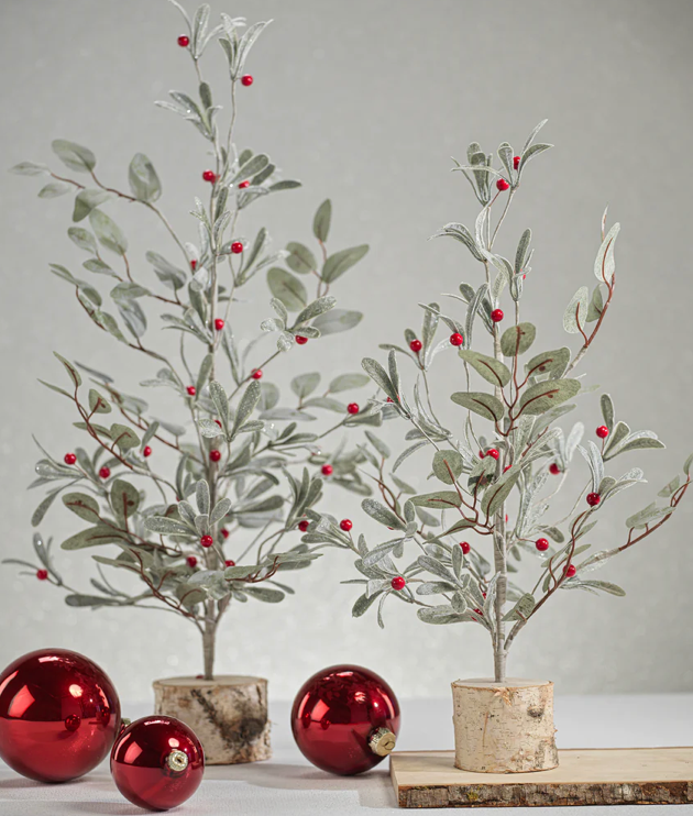 Short Eucalyptus Tree