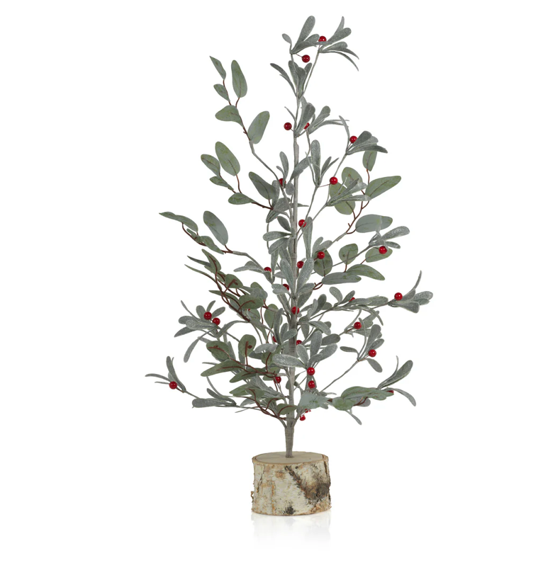 Tall Eucalyptus Tree