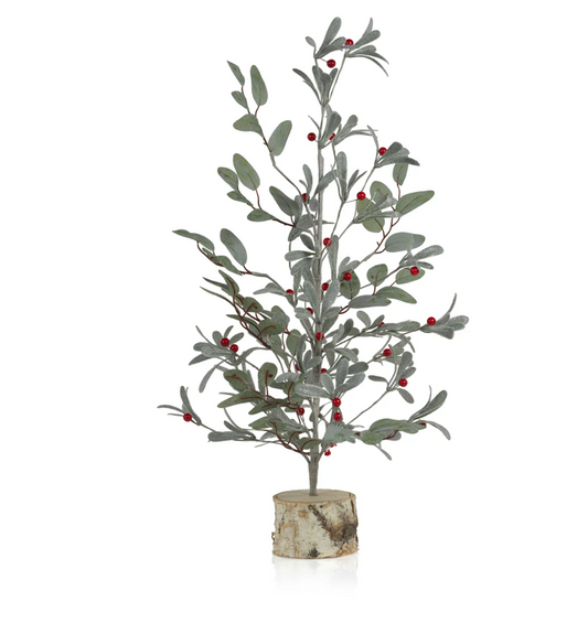 Tall Eucalyptus Tree