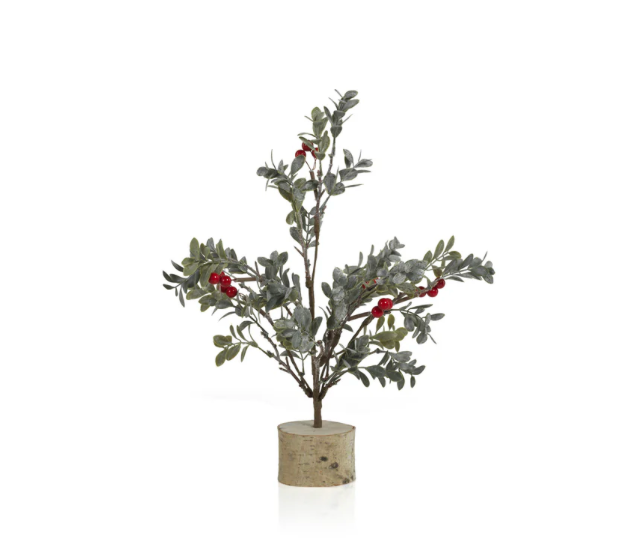 Small Mistletoe Tree