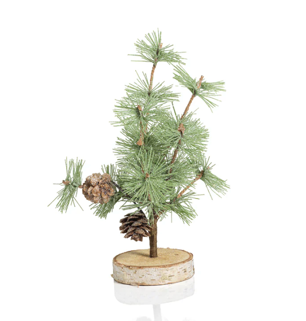Small Pine Needle Tree