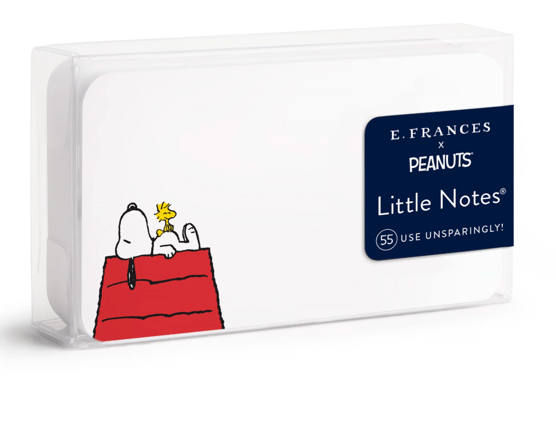 Snoopy Dog House Little Notes