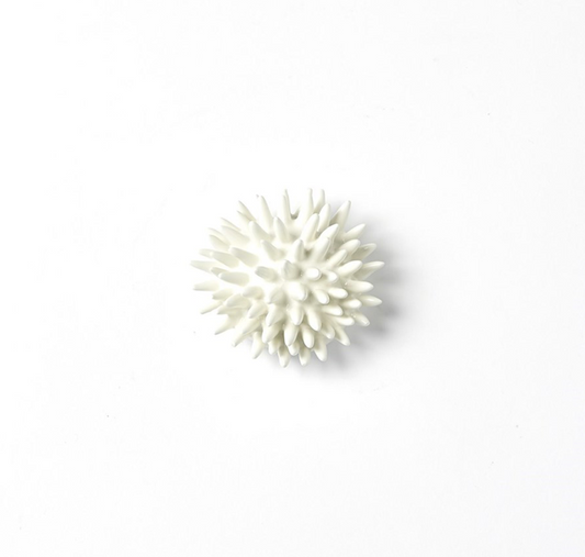 Urchin Wall Art Small